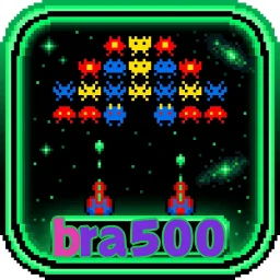 bra500